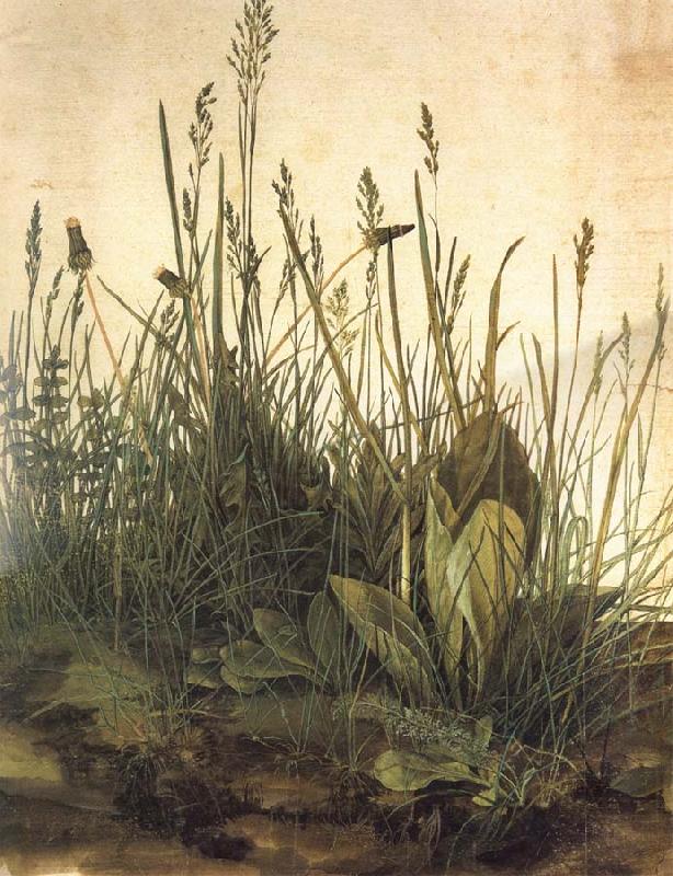 Albrecht Durer The Great Ture France oil painting art